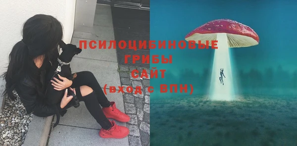 трава Армянск