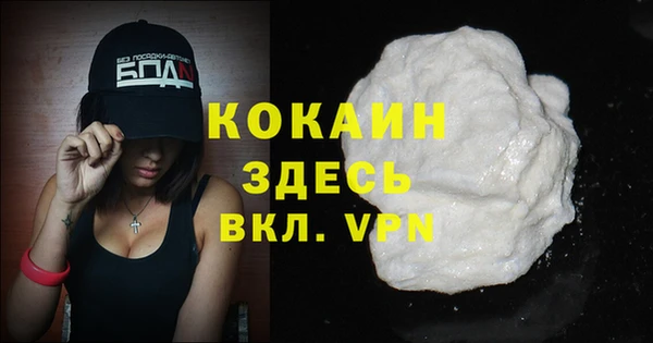 эйфоретик Арсеньев
