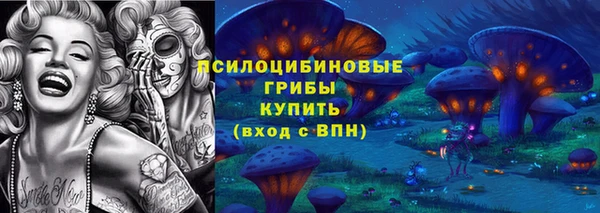 трава Армянск